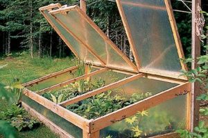 Build Your Own: Cold Frames DIY Guide for Extended Harvests! | The DIY Hub: Creative Crafts, Repairs & Life Hacks