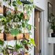 Easy DIY Plant Wall Ideas + Tips for a Green Wall | The DIY Hub: Creative Crafts, Repairs & Life Hacks