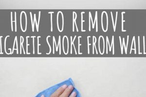 DIY Smoke Be Gone: Best Cleaner to Remove Cigarette Smoke From Walls! The DIY Hub: Creative Crafts, Repairs & Life Hacks DIY Smoke Be Gone: Best Cleaner to Remove Cigarette Smoke From Walls! | The DIY Hub: Creative Crafts, Repairs & Life Hacks