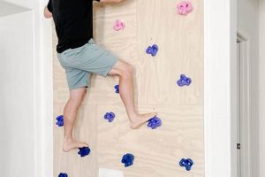 Build Your Own DIY Indoor Rock Climbing Wall Today! The DIY Hub: Creative Crafts, Repairs & Life Hacks Build Your Own DIY Indoor Rock Climbing Wall Today! | The DIY Hub: Creative Crafts, Repairs & Life Hacks