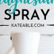 Make Your Own! DIY Magnesium Spray for Muscle Relief | The DIY Hub: Creative Crafts, Repairs & Life Hacks
