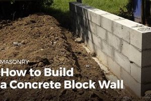 DIY Concrete Wall Ideas: Build Your Dream Wall! The DIY Hub: Creative Crafts, Repairs & Life Hacks DIY Concrete Wall Ideas: Build Your Dream Wall! | The DIY Hub: Creative Crafts, Repairs & Life Hacks