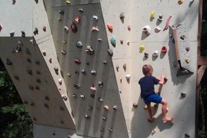 Build Your Own: DIY Outdoor Climbing Wall Project The DIY Hub: Creative Crafts, Repairs & Life Hacks Build Your Own: DIY Outdoor Climbing Wall Project | The DIY Hub: Creative Crafts, Repairs & Life Hacks