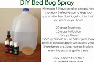 Easy DIY Bed Bug Spray: Recipes & Tips The DIY Hub: Creative Crafts, Repairs & Life Hacks Easy DIY Bed Bug Spray: Recipes & Tips | The DIY Hub: Creative Crafts, Repairs & Life Hacks