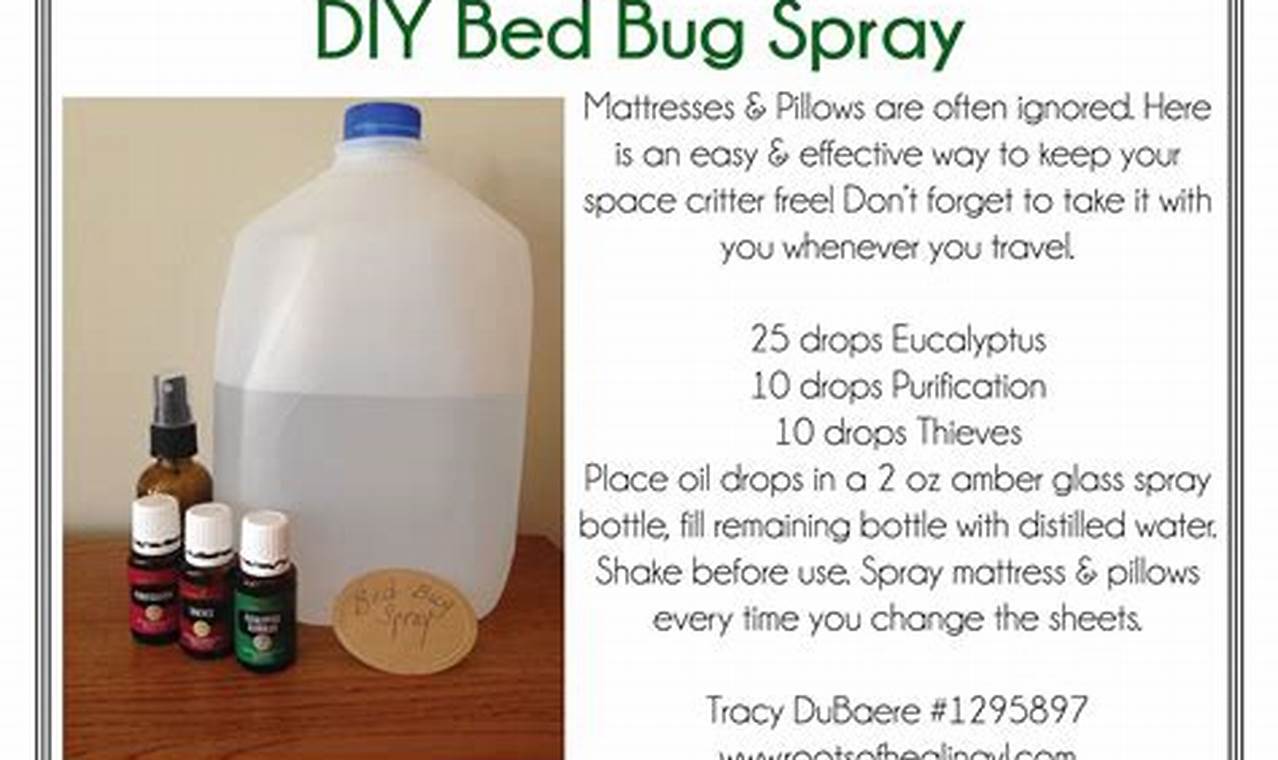 Image showcasing Easy DIY Bed Bug Spray: Recipes & Tips