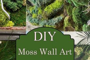 Easy Moss Wall Art DIY Ideas: Green Up Your Wall! The DIY Hub: Creative Crafts, Repairs & Life Hacks Easy Moss Wall Art DIY Ideas: Green Up Your Wall! | The DIY Hub: Creative Crafts, Repairs & Life Hacks