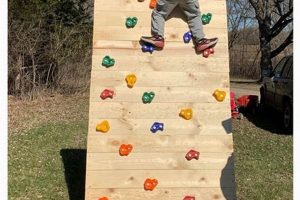 Build A Safe DIY Climbing Wall for Kids: Plans & Fun! The DIY Hub: Creative Crafts, Repairs & Life Hacks Build A Safe DIY Climbing Wall for Kids: Plans & Fun! | The DIY Hub: Creative Crafts, Repairs & Life Hacks