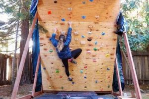 Build a DIY Rock Wall: Your Own Climbing Adventure | The DIY Hub: Creative Crafts, Repairs & Life Hacks