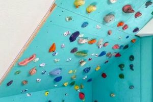 Build Your Own: DIY Rock Climbing Wall Project! | The DIY Hub: Creative Crafts, Repairs & Life Hacks