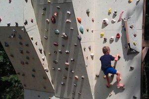 Build Your Dream: Outdoor Climbing Wall DIY Project The DIY Hub: Creative Crafts, Repairs & Life Hacks Build Your Dream: Outdoor Climbing Wall DIY Project | The DIY Hub: Creative Crafts, Repairs & Life Hacks