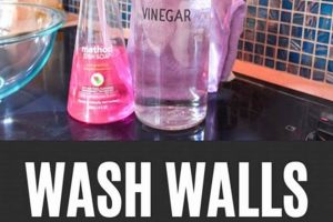 DIY Wall Cleaner: Easy Home Wall Cleaning Tips! The DIY Hub: Creative Crafts, Repairs & Life Hacks DIY Wall Cleaner: Easy Home Wall Cleaning Tips! | The DIY Hub: Creative Crafts, Repairs & Life Hacks