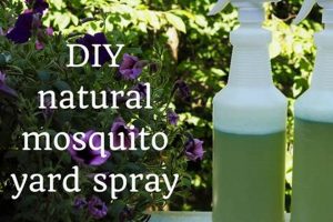 Control Mosquitoes: DIY Spray System Guide & Tips The DIY Hub: Creative Crafts, Repairs & Life Hacks Control Mosquitoes: DIY Spray System Guide & Tips | The DIY Hub: Creative Crafts, Repairs & Life Hacks