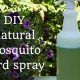 Control Mosquitoes: DIY Spray System Guide & Tips | The DIY Hub: Creative Crafts, Repairs & Life Hacks