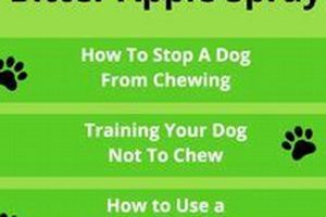 Best DIY Bitter Spray for Dogs: Stop Chewing Fast! The DIY Hub: Creative Crafts, Repairs & Life Hacks Best DIY Bitter Spray for Dogs: Stop Chewing Fast! | The DIY Hub: Creative Crafts, Repairs & Life Hacks