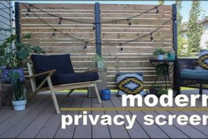 Easy DIY Deck Privacy Wall Ideas on a Budget! | The DIY Hub: Creative Crafts, Repairs & Life Hacks