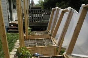 Easy DIY Raised Garden Bed Covers: Build Yours! The DIY Hub: Creative Crafts, Repairs & Life Hacks Easy DIY Raised Garden Bed Covers: Build Yours! | The DIY Hub: Creative Crafts, Repairs & Life Hacks