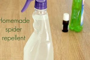 DIY Spider Spray Solutions: Easy & Natural The DIY Hub: Creative Crafts, Repairs & Life Hacks DIY Spider Spray Solutions: Easy & Natural | The DIY Hub: Creative Crafts, Repairs & Life Hacks