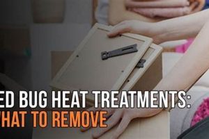 DIY Bed Bug Heat Treatment: A Guide The DIY Hub: Creative Crafts, Repairs & Life Hacks DIY Bed Bug Heat Treatment: A Guide | The DIY Hub: Creative Crafts, Repairs & Life Hacks