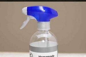 Effective DIY Cat Deterrent Spray: [Easy Guide] | The DIY Hub: Creative Crafts, Repairs & Life Hacks