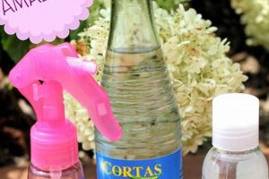 Easy DIY Makeup Set Spray: Recipes & Tips The DIY Hub: Creative Crafts, Repairs & Life Hacks Easy DIY Makeup Set Spray: Recipes & Tips | The DIY Hub: Creative Crafts, Repairs & Life Hacks