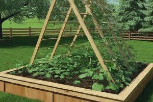 Build a Better Garden: DIY Raised Bed Trellis Ideas The DIY Hub: Creative Crafts, Repairs & Life Hacks Build a Better Garden: DIY Raised Bed Trellis Ideas | The DIY Hub: Creative Crafts, Repairs & Life Hacks