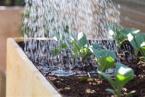 Easy DIY Raised Garden Bed Irrigation: Save Water Now! The DIY Hub: Creative Crafts, Repairs & Life Hacks Easy DIY Raised Garden Bed Irrigation: Save Water Now! | The DIY Hub: Creative Crafts, Repairs & Life Hacks