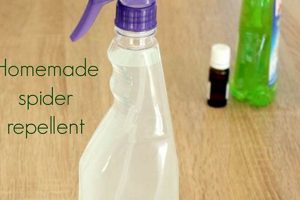 Easy DIY Spider Spray: Natural & Effective Solutions The DIY Hub: Creative Crafts, Repairs & Life Hacks Easy DIY Spider Spray: Natural & Effective Solutions | The DIY Hub: Creative Crafts, Repairs & Life Hacks