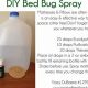 Easy Bed Bug Repellent DIY: Protect Your Sleep Zone! | The DIY Hub: Creative Crafts, Repairs & Life Hacks