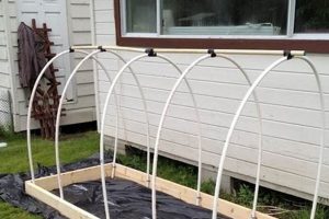 Easy DIY Raised Bed Cover Ideas: Protect Your Bed! The DIY Hub: Creative Crafts, Repairs & Life Hacks Easy DIY Raised Bed Cover Ideas: Protect Your Bed! | The DIY Hub: Creative Crafts, Repairs & Life Hacks