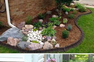 DIY Flower Beds: My Home Garden Ideas on a Budget The DIY Hub: Creative Crafts, Repairs & Life Hacks DIY Flower Beds: My Home Garden Ideas on a Budget | The DIY Hub: Creative Crafts, Repairs & Life Hacks