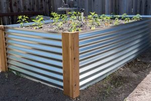 DIY Metal Bed Magic: Build Raised Beds! | The DIY Hub: Creative Crafts, Repairs & Life Hacks