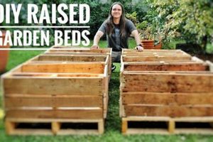 Easy DIY Pallet Raised Garden Bed Ideas for Beginners The DIY Hub: Creative Crafts, Repairs & Life Hacks Easy DIY Pallet Raised Garden Bed Ideas for Beginners | The DIY Hub: Creative Crafts, Repairs & Life Hacks