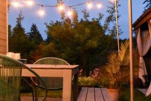 Easy DIY Outdoor String Light Pole Stand Ideas + Tips The DIY Hub: Creative Crafts, Repairs & Life Hacks Easy DIY Outdoor String Light Pole Stand Ideas + Tips | The DIY Hub: Creative Crafts, Repairs & Life Hacks