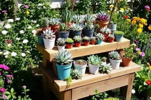 Build a Beautiful DIY Outdoor Plant Stand for Succulents Today! The DIY Hub: Creative Crafts, Repairs & Life Hacks Build a Beautiful DIY Outdoor Plant Stand for Succulents Today! | The DIY Hub: Creative Crafts, Repairs & Life Hacks