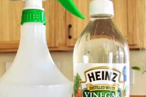 Best Weed Killer Spray DIY: Easy & Natural Lawn Care The DIY Hub: Creative Crafts, Repairs & Life Hacks Best Weed Killer Spray DIY: Easy & Natural Lawn Care | The DIY Hub: Creative Crafts, Repairs & Life Hacks