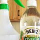 Best Weed Killer Spray DIY: Easy & Natural Lawn Care | The DIY Hub: Creative Crafts, Repairs & Life Hacks