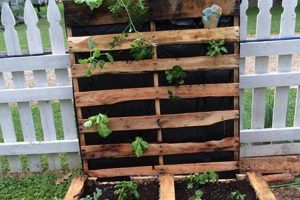 Easy DIY Pallet Projects Outdoor Ideas & Decor The DIY Hub: Creative Crafts, Repairs & Life Hacks Easy DIY Pallet Projects Outdoor Ideas & Decor | The DIY Hub: Creative Crafts, Repairs & Life Hacks