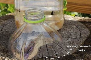 Easy Fly Traps Outdoor DIY: Simple Pest Solutions The DIY Hub: Creative Crafts, Repairs & Life Hacks Easy Fly Traps Outdoor DIY: Simple Pest Solutions | The DIY Hub: Creative Crafts, Repairs & Life Hacks