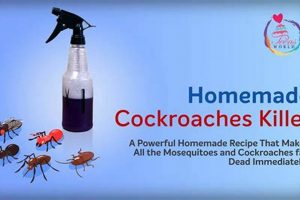 Best DIY Roach Spray Guide: Safe & Effective The DIY Hub: Creative Crafts, Repairs & Life Hacks Best DIY Roach Spray Guide: Safe & Effective | The DIY Hub: Creative Crafts, Repairs & Life Hacks