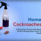 Best DIY Roach Spray Guide: Safe &amp; Effective | The DIY Hub: Creative Crafts, Repairs & Life Hacks