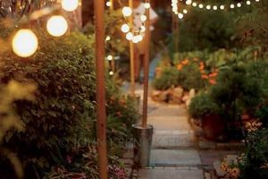 Easy DIY Outdoor Lighting Ideas: Illuminate Your Space The DIY Hub: Creative Crafts, Repairs & Life Hacks Easy DIY Outdoor Lighting Ideas: Illuminate Your Space | The DIY Hub: Creative Crafts, Repairs & Life Hacks