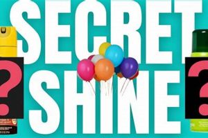 DIY Balloon Shine Spray: Easy Homemade Gloss The DIY Hub: Creative Crafts, Repairs & Life Hacks DIY Balloon Shine Spray: Easy Homemade Gloss | The DIY Hub: Creative Crafts, Repairs & Life Hacks