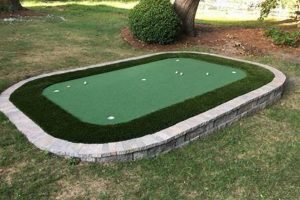 Build Your Backyard Oasis: DIY Putting Green Outdoor Fun! The DIY Hub: Creative Crafts, Repairs & Life Hacks Build Your Backyard Oasis: DIY Putting Green Outdoor Fun! | The DIY Hub: Creative Crafts, Repairs & Life Hacks