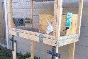 Build a Better Backyard: DIY Outdoor Rabbit Hutch Plans The DIY Hub: Creative Crafts, Repairs & Life Hacks Build a Better Backyard: DIY Outdoor Rabbit Hutch Plans | The DIY Hub: Creative Crafts, Repairs & Life Hacks