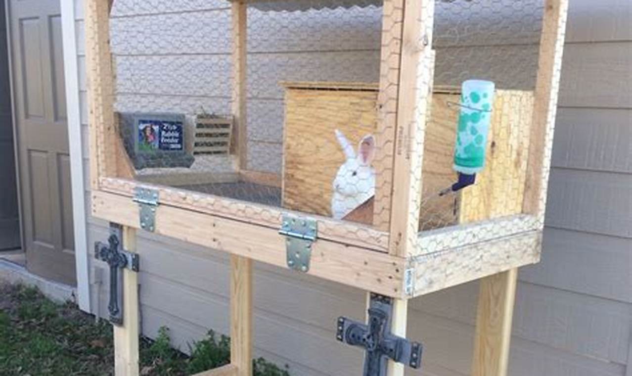 Mountable Rabbit Build a Better Backyard: DIY Outdoor Rabbit Hutch Plans