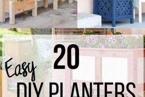 Easy DIY Planters Outdoor Ideas on a Budget The DIY Hub: Creative Crafts, Repairs & Life Hacks Easy DIY Planters Outdoor Ideas on a Budget | The DIY Hub: Creative Crafts, Repairs & Life Hacks