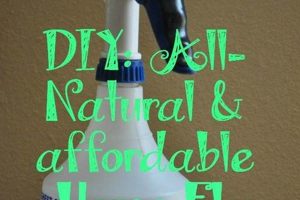 Easy DIY Horse Fly Spray Recipes: Control Pests Naturally! The DIY Hub: Creative Crafts, Repairs & Life Hacks Easy DIY Horse Fly Spray Recipes: Control Pests Naturally! | The DIY Hub: Creative Crafts, Repairs & Life Hacks