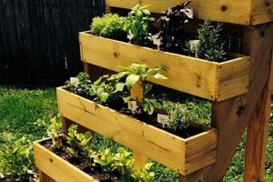 Easy DIY Outdoor Planters: Garden & Patio Ideas The DIY Hub: Creative Crafts, Repairs & Life Hacks Easy DIY Outdoor Planters: Garden & Patio Ideas | The DIY Hub: Creative Crafts, Repairs & Life Hacks