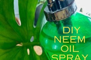 Easy DIY Neem Oil Spray: Natural Pest Control! The DIY Hub: Creative Crafts, Repairs & Life Hacks Easy DIY Neem Oil Spray: Natural Pest Control! | The DIY Hub: Creative Crafts, Repairs & Life Hacks