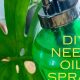 Easy DIY Neem Oil Spray: Natural Pest Control! | The DIY Hub: Creative Crafts, Repairs & Life Hacks
